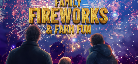 Family Fireworks