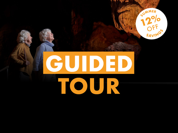 Guided Tours
