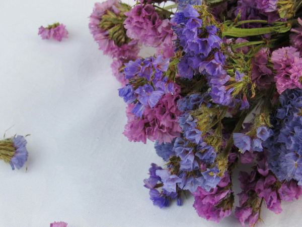 28th March: Easter wreath making at the Mary Rose Museum