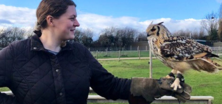 Falconry VIP Experience