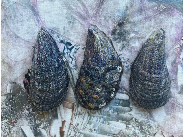 HCF 3-Dimensional Mussels