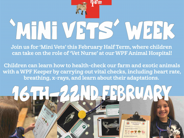 Mini Vets - Feb Half Term