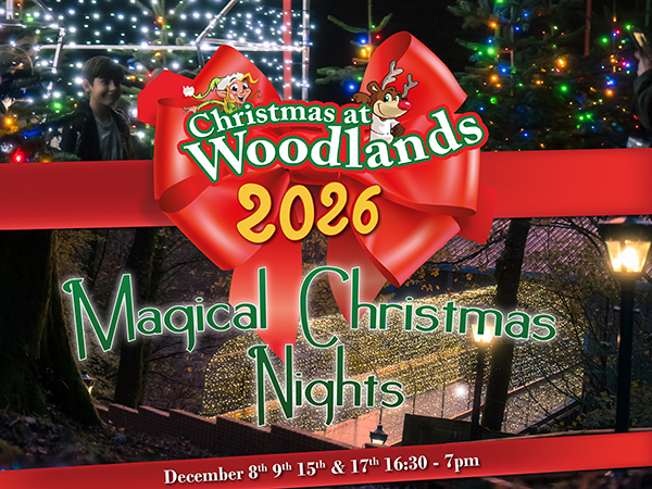 Magical Christmas Nights at Woodlands 2026 (Grotto Only, PARK CLOSED)