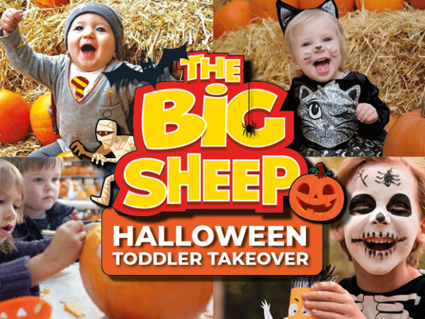 Toddler Takeover Halloween 18th, 19th, 20th, 22nd, & 24th October