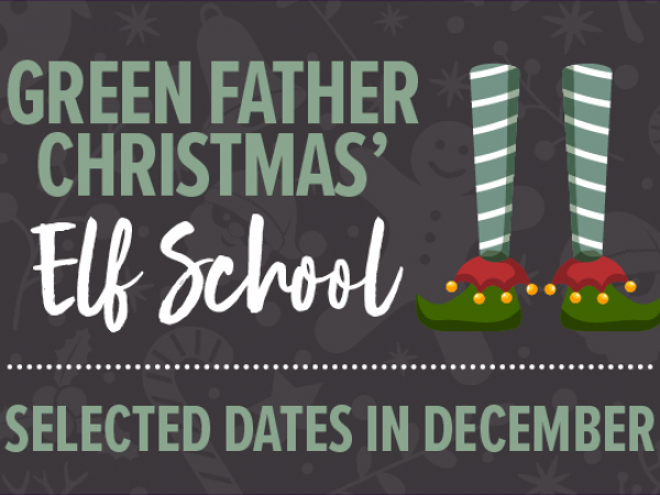 Green Father Christmas' Elf School