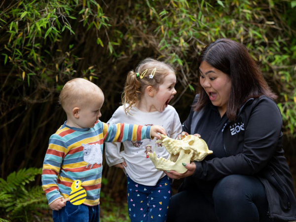 Zoo educator shows 2 smiling toddlers and orangutan skull