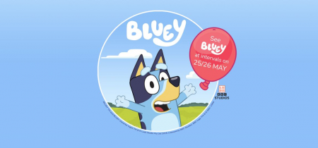 Bluey Weekend Wheelchair User or Additional Need Customers.