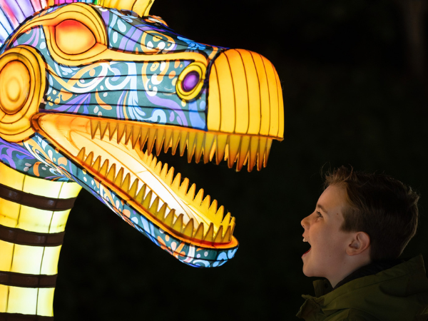 Wild Lights Sensory-Friendly Evening 2026