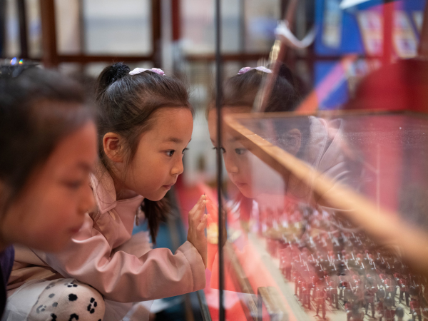 Museum General Admission
