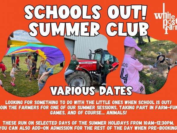 Schools Out - Summer Club