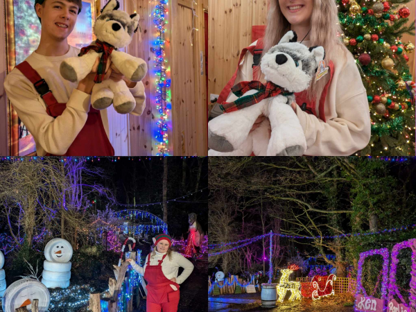 Festive Woods with Bear Making