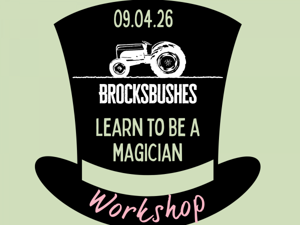 Learn How to be a Magician Workshop
