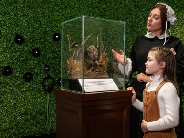Meet Florence Nightingale: Home Learners Event