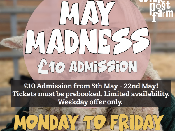 May Madness - Weekdays 5th-22nd May