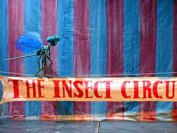 The Insect Circus (Llanelli)