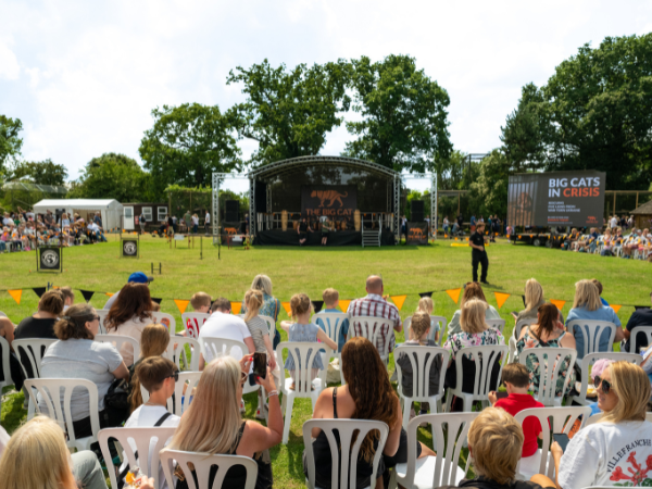 Big Cat Fest - Wednesday 29th July