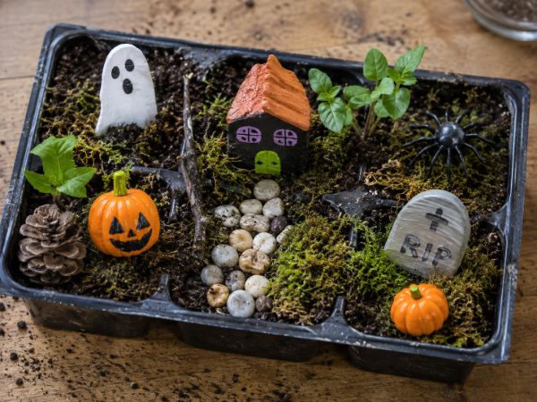 HALLOWEEN MINIATURE GARDEN MAKING