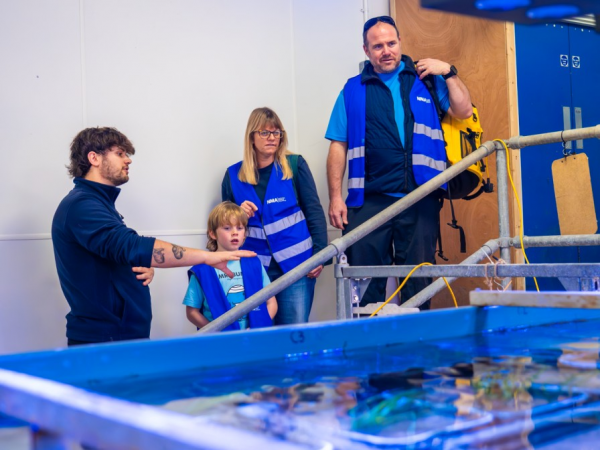 Behind the Scenes at The Aquarium