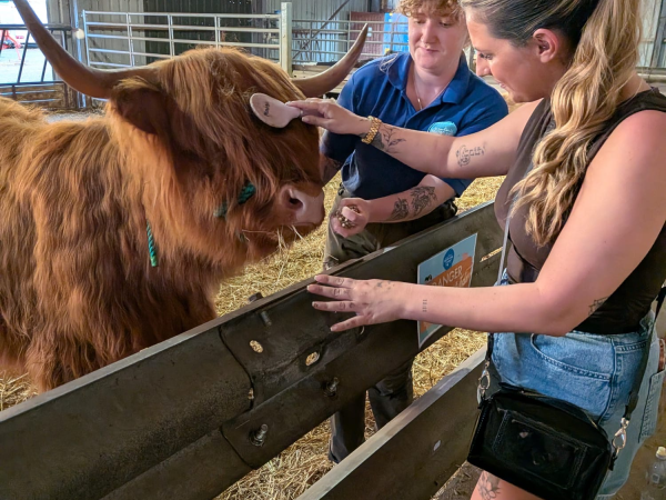 Summer 'Dates or Mates' Farm Night