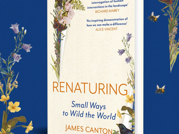 Wild Writing Retreat