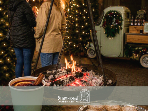 Festive Fayre Evening - 17th & 18th November 5-8pm