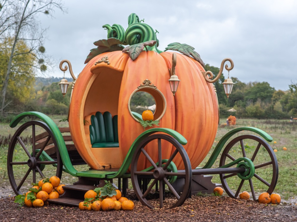 WASING PICK YOUR OWN PUMPKINS & WOODLAND TRAIL  2026