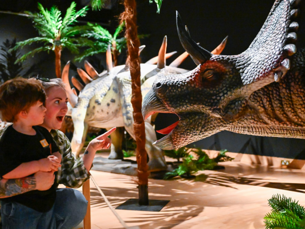 Dinosaur rEvolution