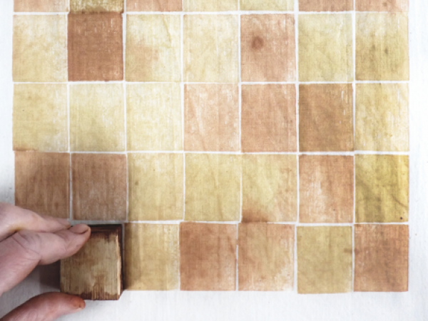 Natural Dyeing: The Fundamentals  with Jacqui Symons