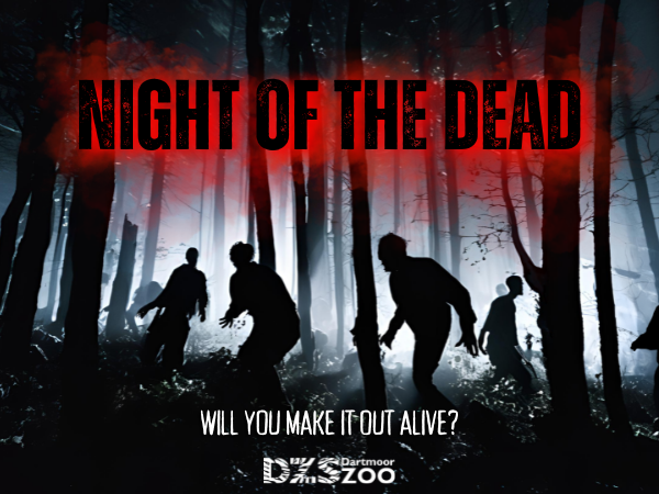 Night of the Dead - Zombie Survival Challenge