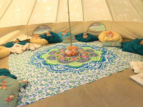 Teddy Bears Picnic 2025