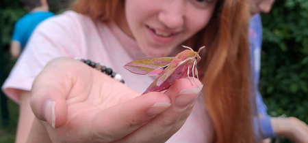 Workshop: Moth Night