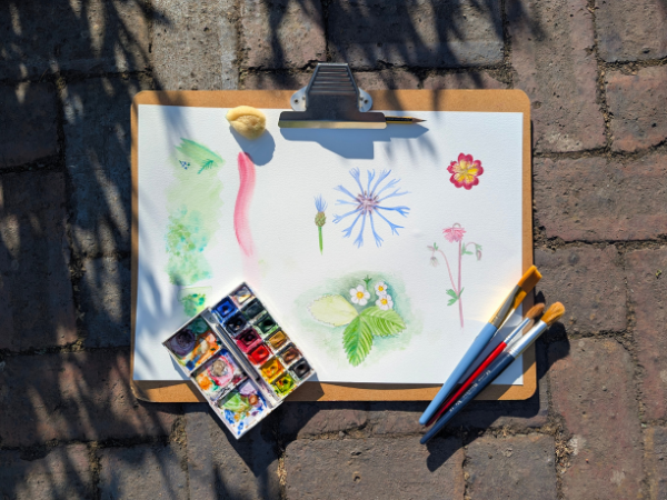 Introduction to Watercolours Workshop