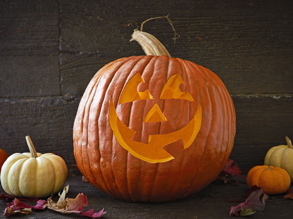 Adult Pumpkin Carving Evening