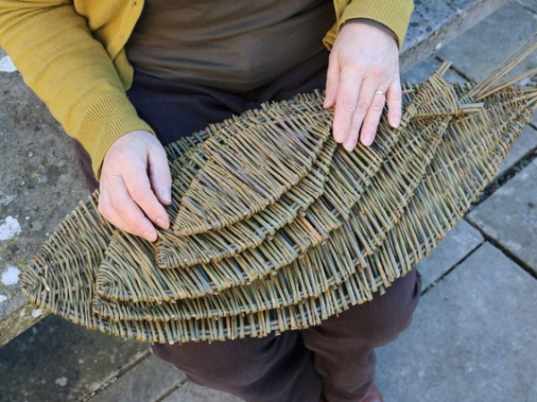 Weave a willow fish - family workshop