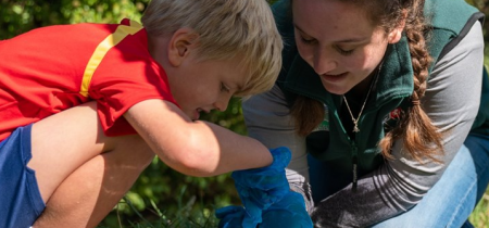 Pond dipping with Kentish Stour Countryside Partnership - 30th May