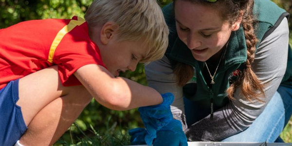 May Half Term Workshops: Pond Dipping