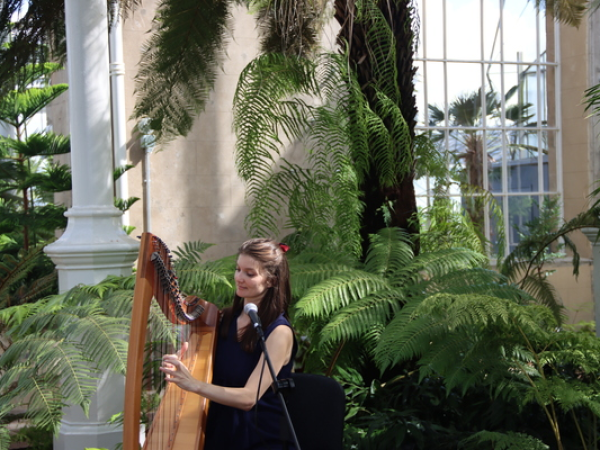 Palm Houses Sessions - clàrsach