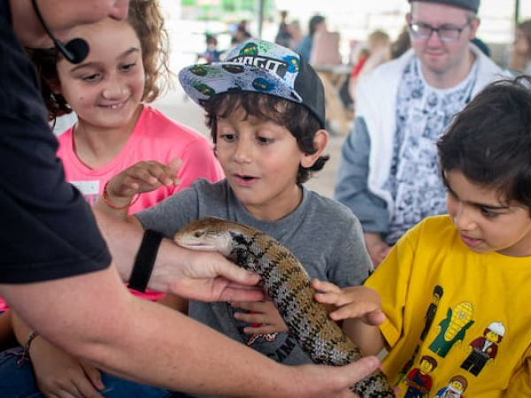 May Half Term - It May be Wild