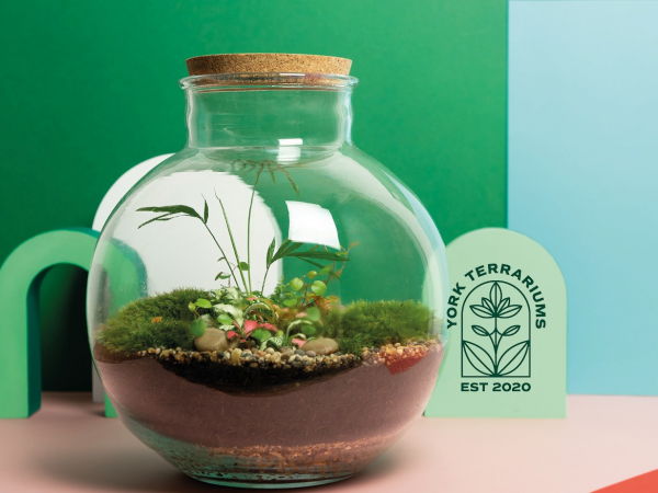 Terrarium Workshop
