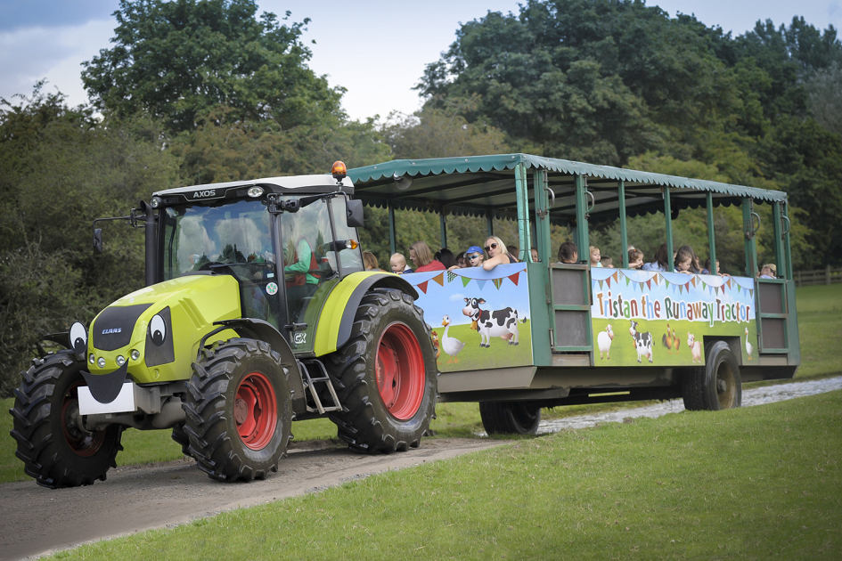 Buy Group Visits 2024 Tickets online Willows Activity Farm