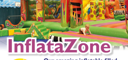 InflataZone Party