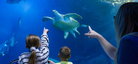 Jawsome Breakfast at The Aquarium