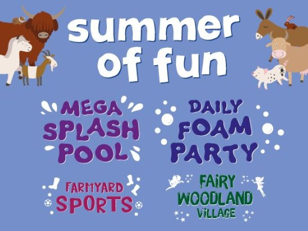 Summer of Fun