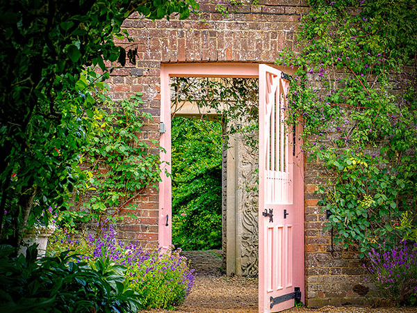 Private Champagne Tea Tour 2024