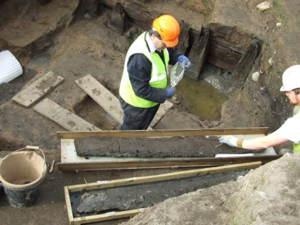 York 22nd September 2026 - An Introduction to Recording Waterlogged Wood