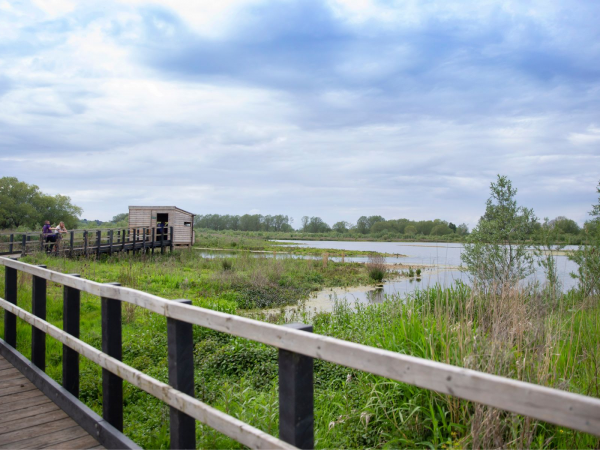 Workshop: River Dipping for Adults