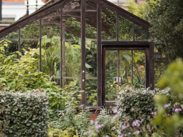 Volunteer trip: Chelsea Physic Garden
