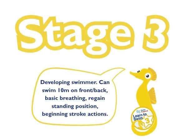 Stage 3