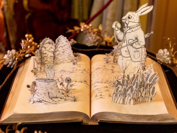 Down the Rabbit Hole: Story & Craft