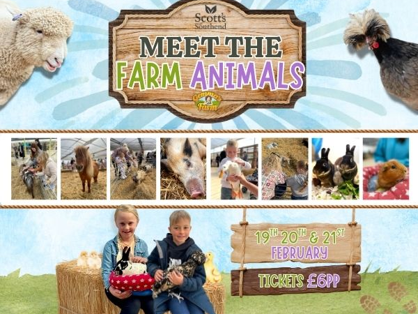 Meet The Farm Animals